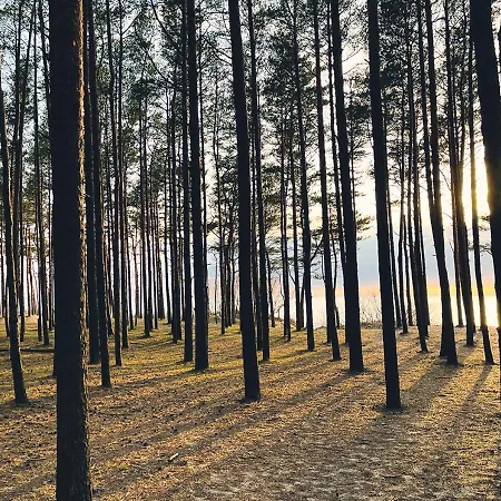 Jaukus Ir Sviesus Seimos Apartamentai Kunigiskiuose - Vakaris Vejas *